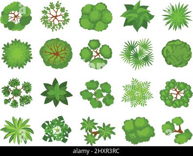 Trees top view. Different plants and trees vector set for architectural ...