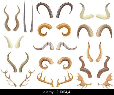 Animal horns and antlers, antelope, ram, moose, reindeer horn. Wild animals hunting trophies, deer antler, buffalo and goat horns vector set. Wildlife mammals elements isolated on white Stock Vector