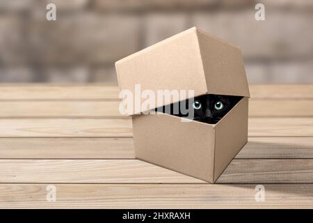 Cat eyes looking out of a cardboard box Stock Photo