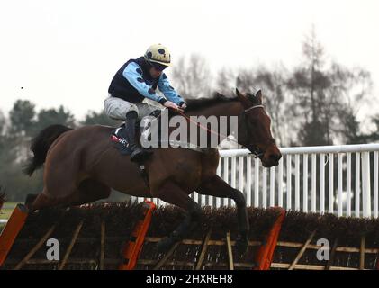 File photo dated 16-01-2021 of Edwardstone, who Alan King feels can cap a fine season as he seeks a fifth successive win in the Sporting Life Arkle Trophy at Cheltenham. Issue date: Monday March 14, 2022. Stock Photo