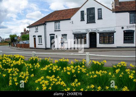 Burnham, Buckinghamshire, UK. 14th March, 2022. Pretty daffodils in ...