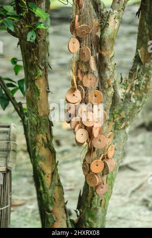 Hanging fishing nets on trees Stock Photo