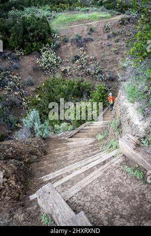 Moonridge Trail steps descend into steep canyon with cacti as a lone hiker explores Conejo Open Space in Wildwood Park, Thousand Oaks, California Stock Photo