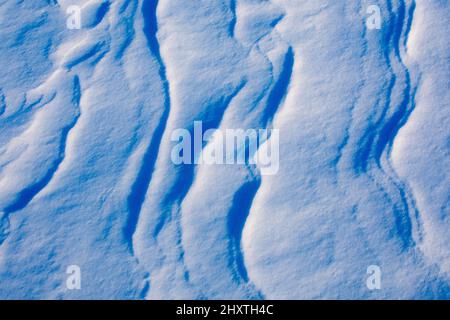 Light and shadow across waves of snow Stock Photo