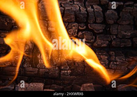 Close-up of camp fire flames and fire. Wood burning process. Stock Photo