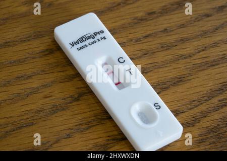 A positive rapid lateral flow test strip with two red lines for SARS-Cov-2 (Covid-19) confirming the presence of Coronavirus on the test swab. England Stock Photo