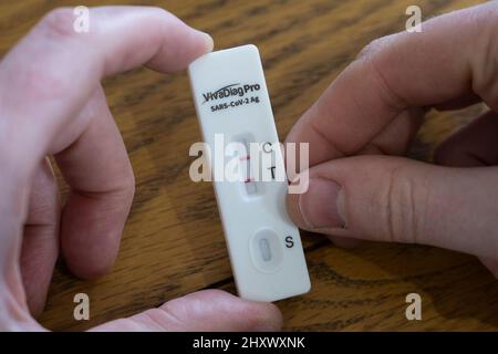 A 41 year old middle aged man holding a positive rapid lateral flow test strip with two red lines for SARS-Cov-2 (Covid-19 Coronavirus). England Stock Photo