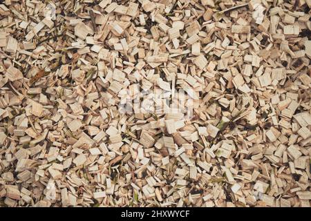 Abstract natural background of wood chips. Wood waste from the sawmill. Stock Photo