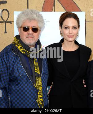 Angelina Jolie and Pedro at the 2012 HFP Golden Globe Nominees Panal held at the Egyptian, Los Angeles Stock Photo