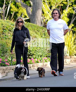Goldie Hawn and Kurt Russell are seen walking their dogs in Brentwood