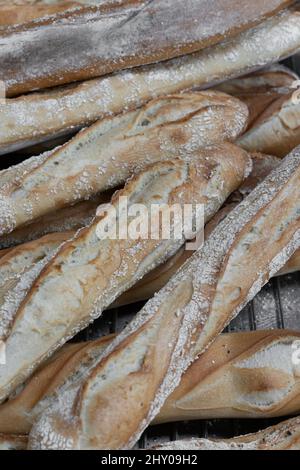 Artisan baker and pastry chef. Detail of cereal breads in a bakery