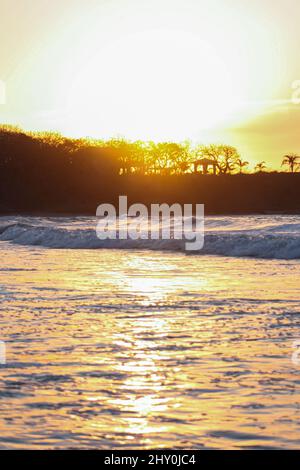 Vertical closeup of ocean waves washing the coastline at sunset behind trees Stock Photo