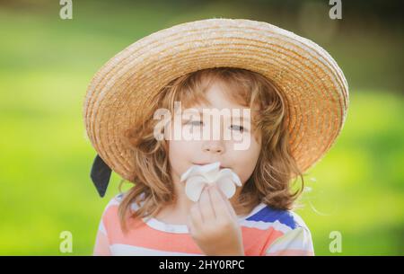 Portrait of a cute child boy in straw hat smelling plumeria flower. Close up caucasian kids face. Closeup head of funny kid. Stock Photo