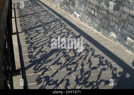 Shadows of a forged rustic iron fence on a stone-ground at outside as abstract background Stock Photo