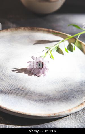 High angle of stylish ceramic plate with blooming fresh flower on plate near green left on table at sunlight Stock Photo