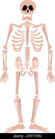 Human skeleton posing isolated on black background vector illustration ...