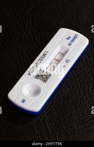 Positive Covid 19 lateral flow test / rapid lateral flow antigen coronavirus test on a black background  showing both bars on the test strip Stock Photo