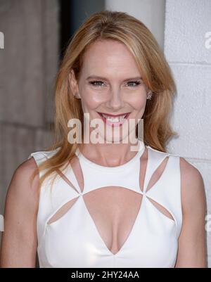 Amy Ryan arriving Clear History Premiere at the Arclight Theatre In Los