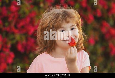 Healthy kids food Happy child boy eat strawberries. Adorable kid eating strawberry. Stock Photo