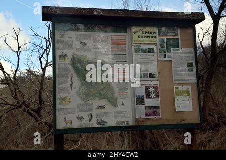 Epsom Surrey England Epsom Common Local Nature Reserve Noticeboard and Map Stock Photo