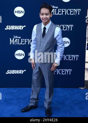 Maddox Jolie-Pitt attending the 'Maleficent' premiere held at El Capitan Theatre in Los Angeles, USA. Stock Photo