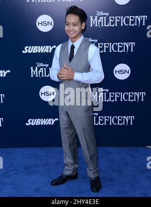 Maddox Jolie-Pitt attending the 'Maleficent' World Premiere held at El Capitan Theatre in Los Angeles, USA. Stock Photo