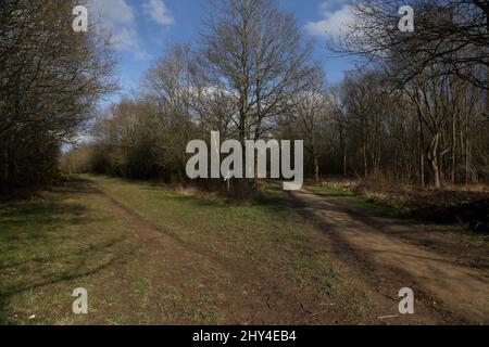 Epsom Surrey England Epsom Common Local Nature Reserve Fork in the Footpath Stock Photo