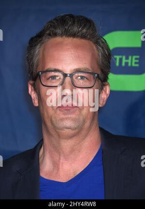 Matt Perry Designer Matthew Perry attending the CBS-CW-Showtime Summer TCA Press Tour 2014 ...