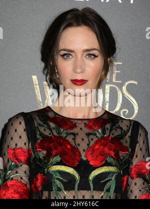 Emily Blunt attending the 'Into The Woods' World Premiere held at the Ziegfeld Theater in New York, USA. Stock Photo