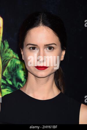 Katherine Waterston at the Inherent Vice Premiere at the Egyptian
