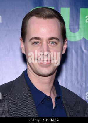 Sean Murray attending the CBS, The CW and Showtime Summer TCA press tour. Stock Photo