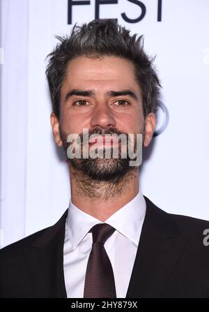 Hamish Linklater attending the AFI Fest 2015 Closing Gala: 'The Big Short' World Premiere held at the Chinese Theatre. Stock Photo