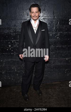 Johnny Depp attending the 2nd Annual Hollywood Beauty Awards held at Avalon, Hollywood, Los Angeles. Stock Photo