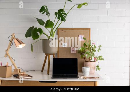 Desk top work are wit computer and lamp. Green plants and coffee cup. Stock Photo