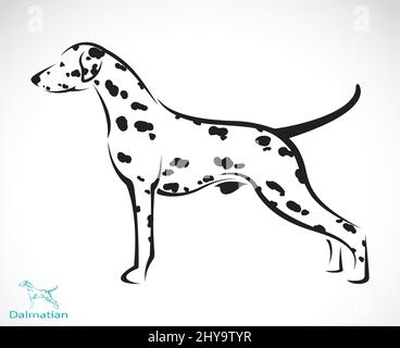 Vector image of a dalmatian dog on white background. Easy editable layered vector illustration. Stock Vector