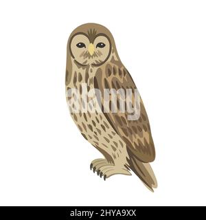 Vector cartoon gray owl isolated on white background.  Stock Vector