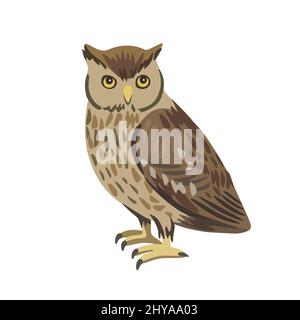 Vector cartoon little owl isolated on white background.  Stock Vector