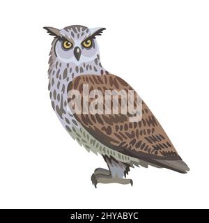 Vector cartoon eagle owl isolated on white background. Stock Vector