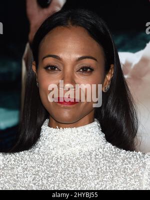 Zoe Saldana attending the world premiere of 'Live By Night' in Los Angeles Stock Photo