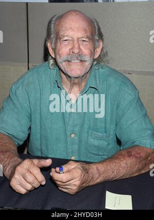 Max Gail attending The Hollywood Show held at the Westin LAX Hotel