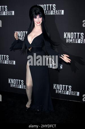 Cassandra Peterson, Elvira attending the Knott's Scary Farm and