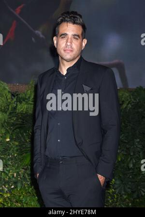 Bobby Cannavale attending the Jumanji: Welcome to the Jungle Premiere in Los Angeles Stock Photo