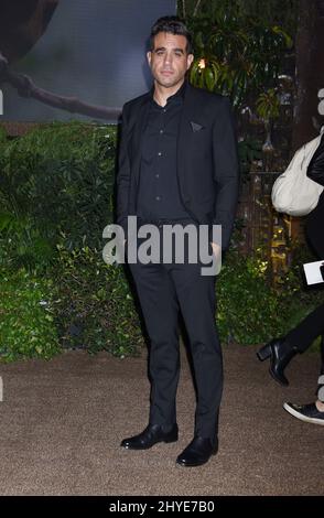 Bobby Cannavale attending the Jumanji: Welcome to the Jungle Premiere in Los Angeles Stock Photo