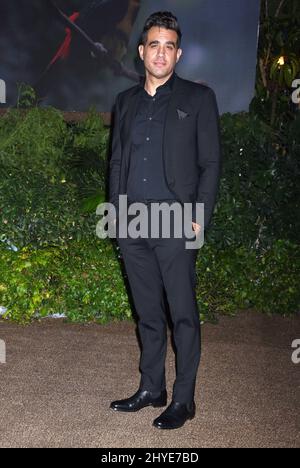 Bobby Cannavale attending the Jumanji: Welcome to the Jungle Premiere in Los Angeles Stock Photo