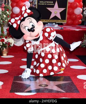 Minnie Mouse Celebrates 90th Anniversary With Star On The Hollywood Walk Of Fame Stock Photo