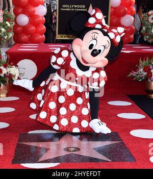 Minnie Mouse Celebrates 90th Anniversary With Star On The Hollywood Walk Of Fame. Stock Photo