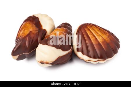 Chocolate sweets shaped as seashells isolated on white background Stock Photo