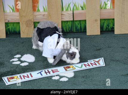 Bini The Bunny at the 'Peter Rabbit' World Premiere held at The Grove on February 3, 2018 in Los Angeles, CA Stock Photo