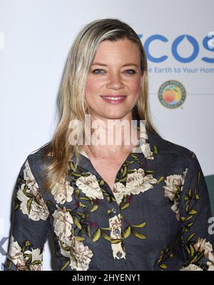 Amy Smart attends the 15th Annual Global Green Pre Oscar Gala in Hollywood, CA Stock Photo