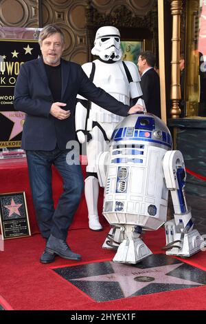 Mark Hamill attending the Mark Hamill Hollywood Walk of Fame star ceremony held on Hollywood Blvd. Stock Photo